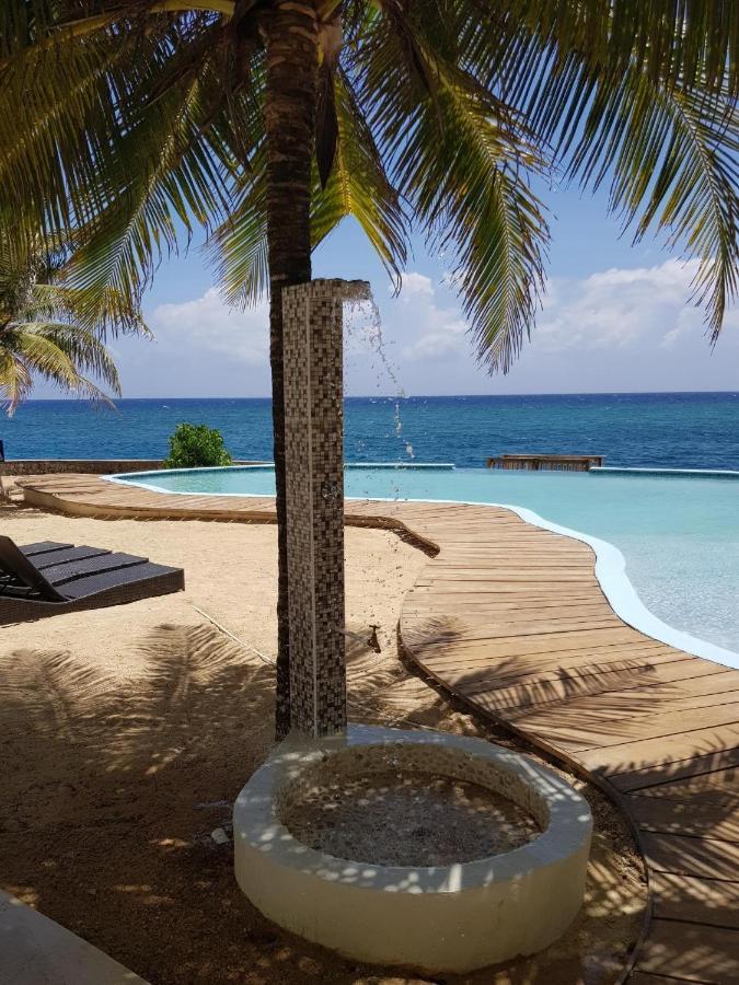 Whispering Seas Oceanfront Suite Ocho Rios Eksteriør billede